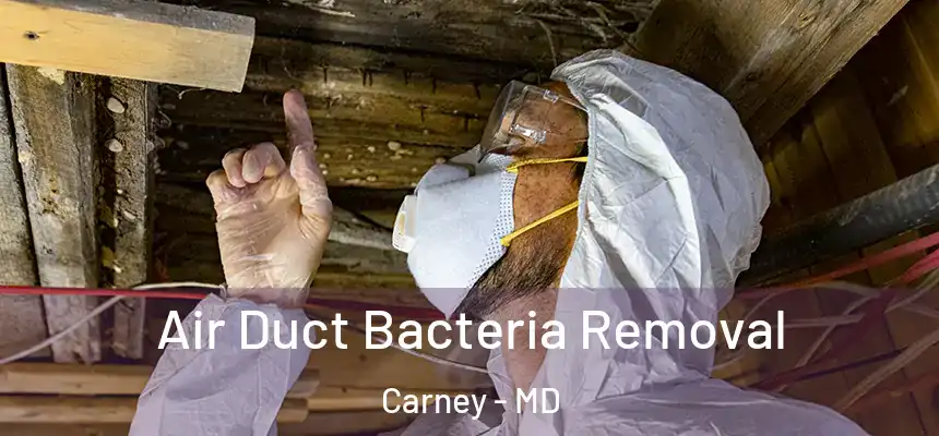  Air Duct Bacteria Removal Carney - MD
