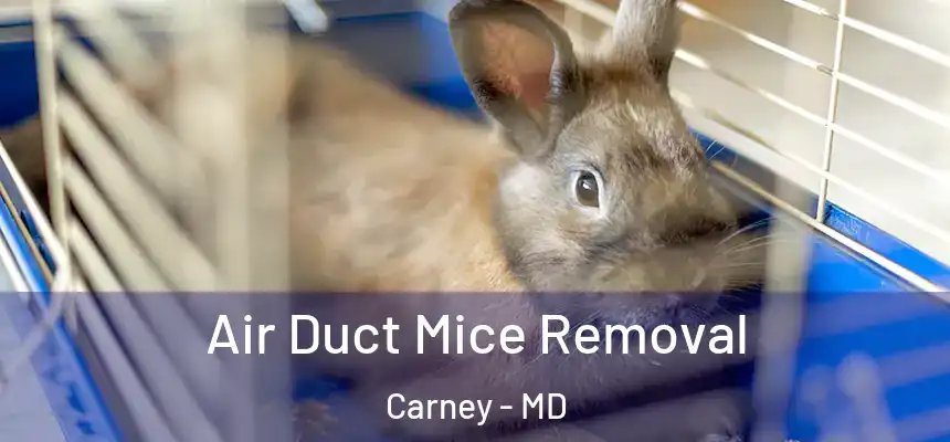  Air Duct Mice Removal Carney - MD
