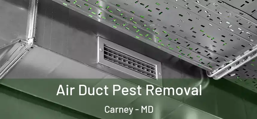 Air Duct Pest Removal Carney - MD