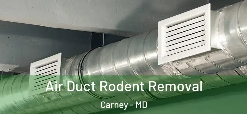 Air Duct Rodent Removal Carney - MD