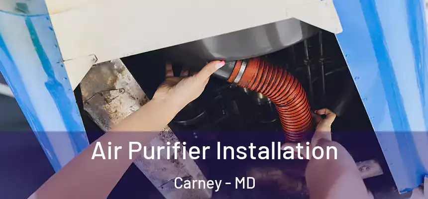  Air Purifier Installation Carney - MD