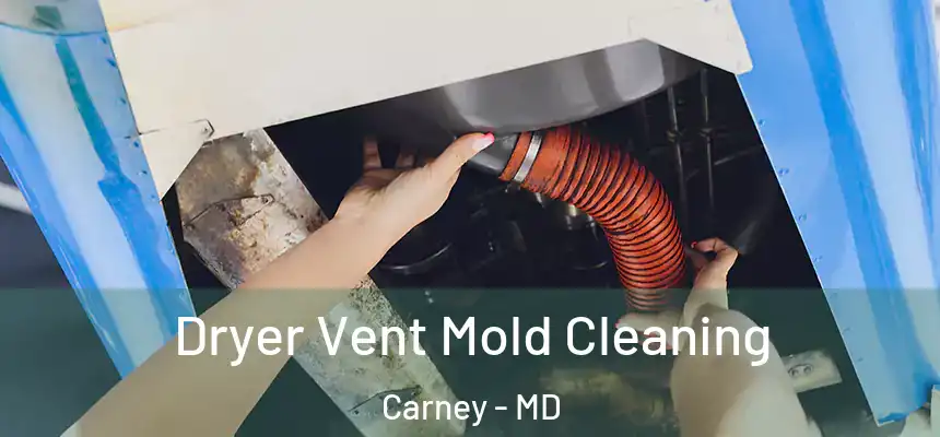 Dryer Vent Mold Cleaning Carney - MD