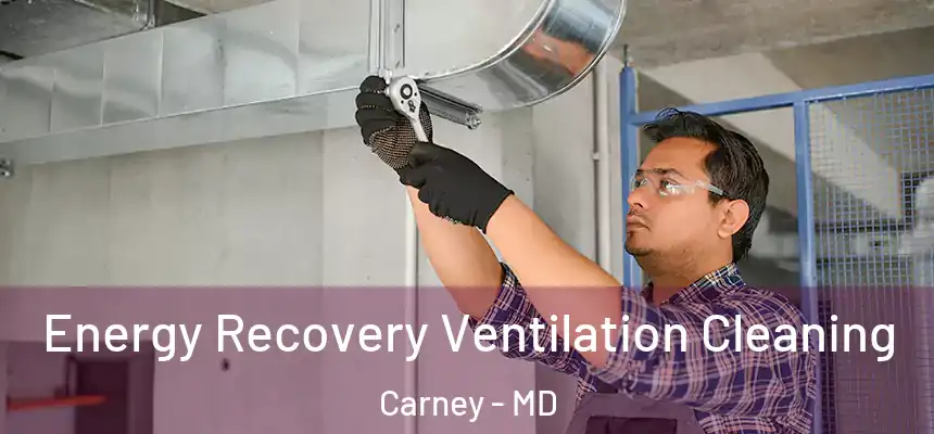 Energy Recovery Ventilation Cleaning Carney - MD