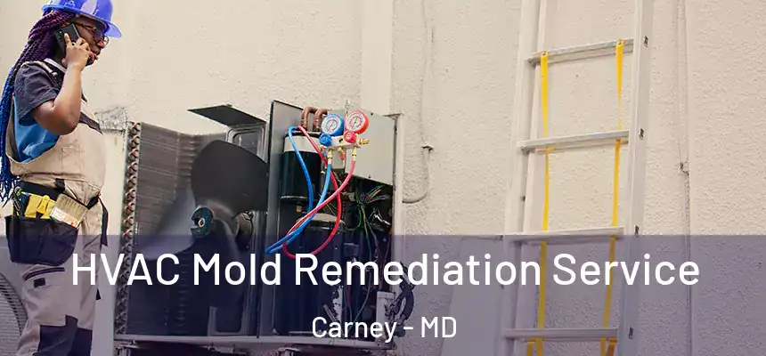  HVAC Mold Remediation Service Carney - MD