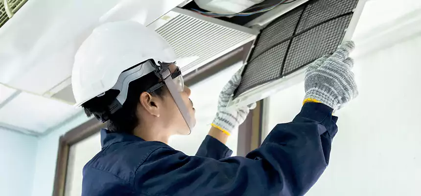 Our Mold & Mildew Removal from Air Ducts Services in Carney, MD