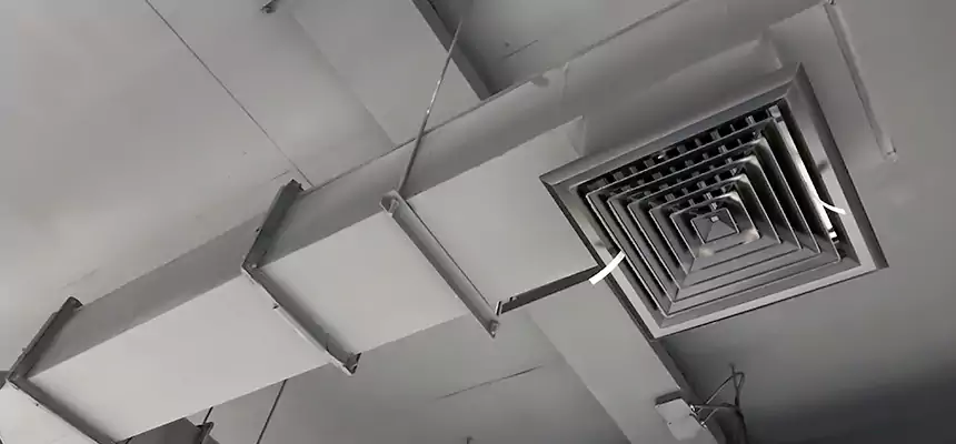 Our Rodent Droppings In Vents Services in Carney, MD