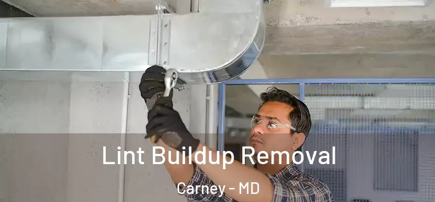  Lint Buildup Removal Carney - MD