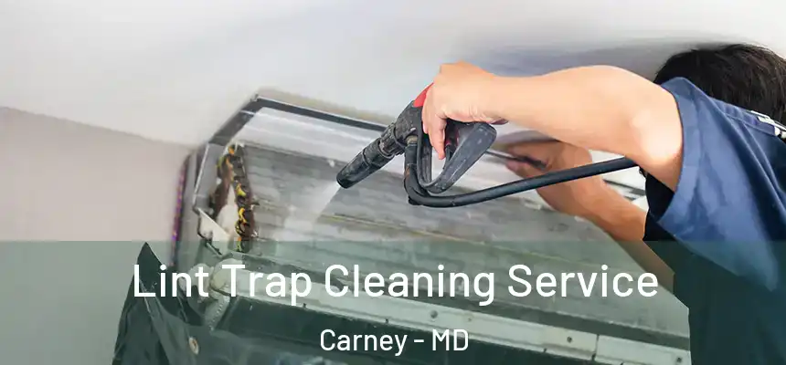  Lint Trap Cleaning Service Carney - MD
