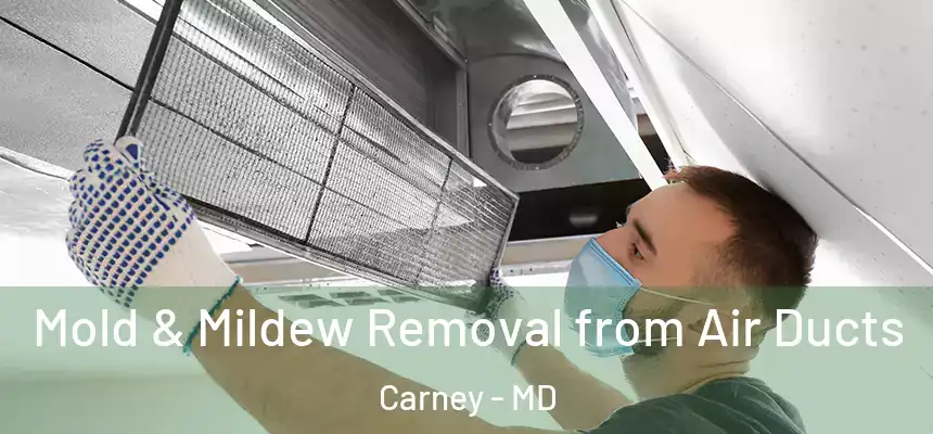 Mold & Mildew Removal from Air Ducts Carney - MD