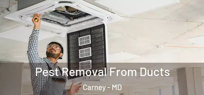  Pest Removal From Ducts Carney - MD