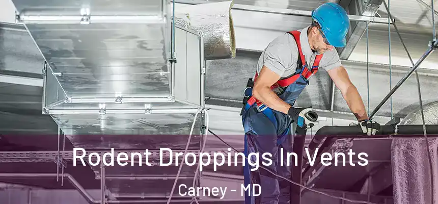 Rodent Droppings In Vents Carney - MD