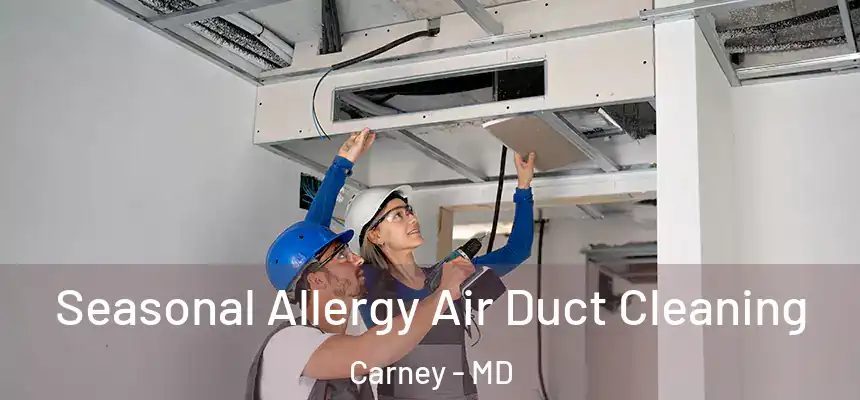 Seasonal Allergy Air Duct Cleaning Carney - MD
