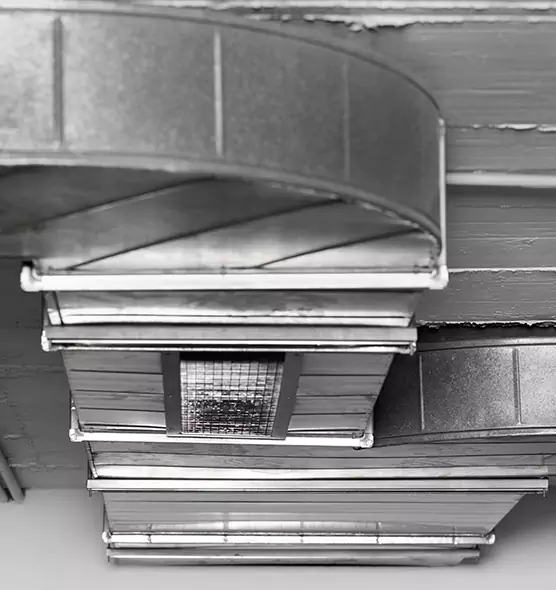 Professional Air Duct Pest Removal in Carney, MD