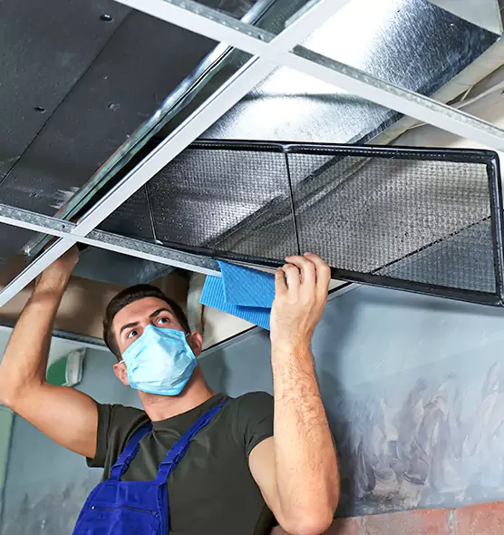 Professional Air Duct Pollen Cleaning in Carney, MD