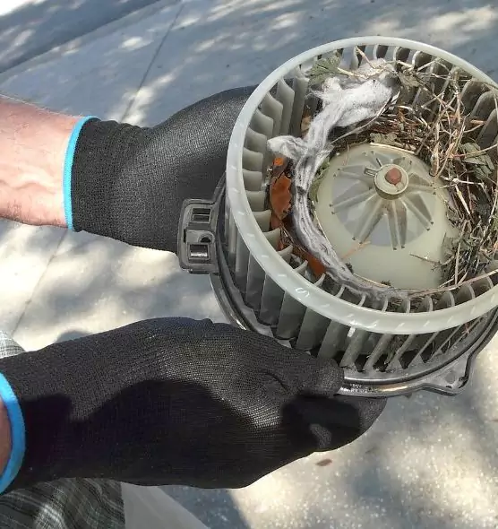 About Air Duct Rat Removal in Carney, MD