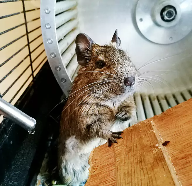 Why Homeowners & Businesses Trust Us Carney, MD