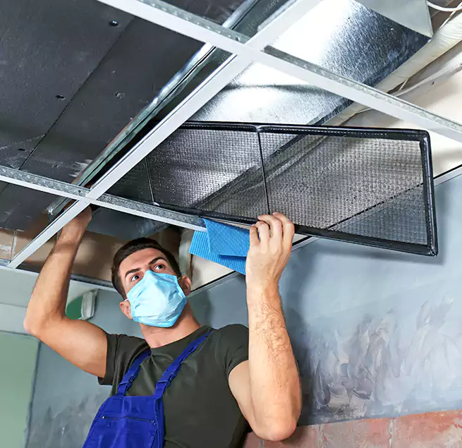 Why Homeowners Businesses Trust Us in Carney, MD