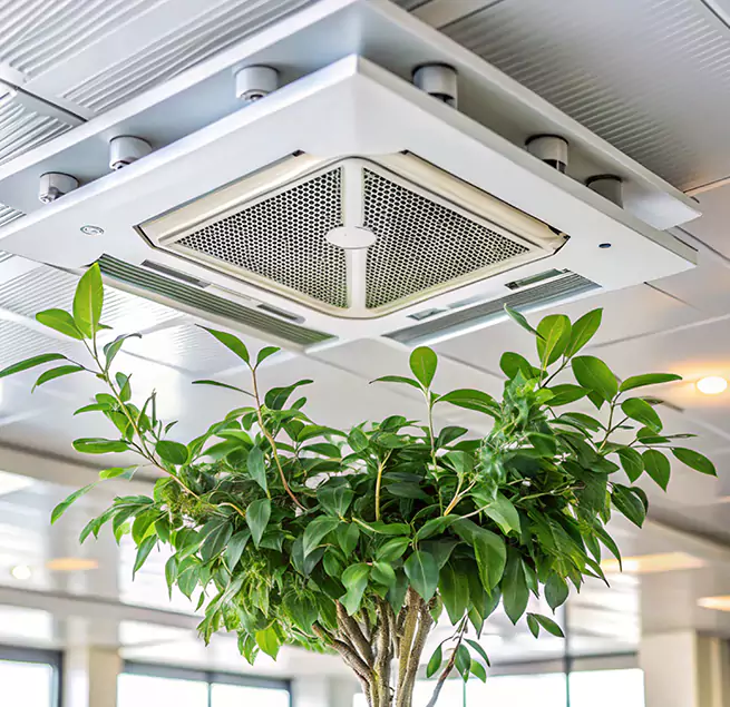 Why Homeowners & Businesses Trust Us in Carney, MD